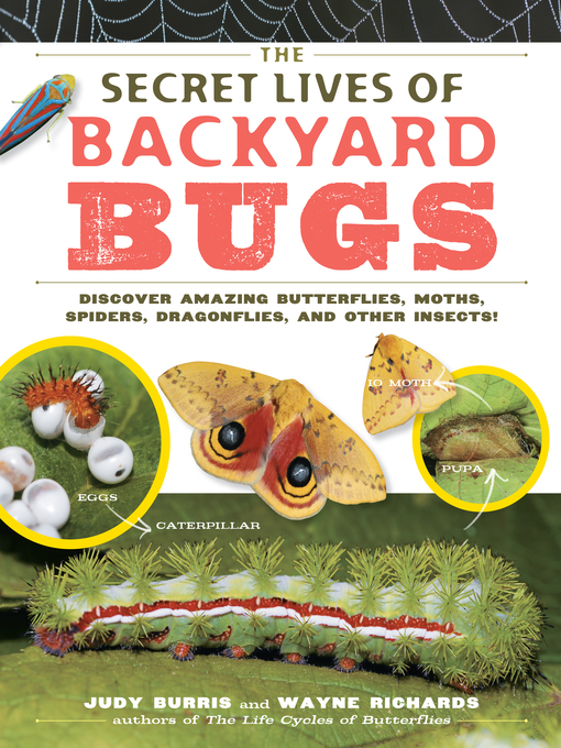 Title details for The Secret Lives of Backyard Bugs by Judy Burris - Available